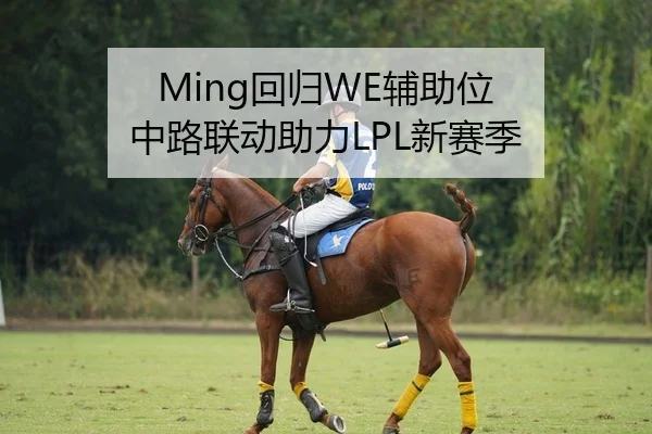Ming回归WE辅助位 中路联动助力LPL新赛季