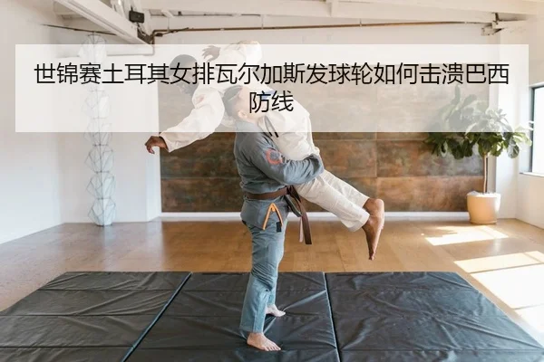 shi-jin-sai-tu-er-qi-nv-pai-wa-er-jia-si-fa-qiu-lun-ru-he-ji-kui-ba-xi-fang-xian-2-771.jpg