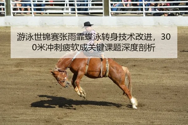 you-yong-shi-jin-sai-zhang-yu-fei-die-yong-zhuan-shen-ji-shu-gai-jin-mi-chong-ci-pi-ruan-cheng-guan-jian-ke-ti-shen-du-2-519.jpg